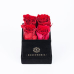 4 Rose Box // Red