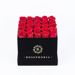 24 Rose Square Box // Red