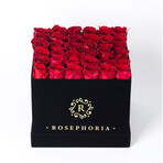36 Rose Square Box // Red