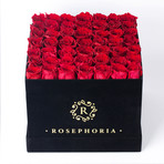 49 Rose Square Box // Red