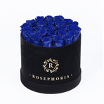 24 Rose Round Box // Blue