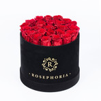 24 Rose Round Box // Red