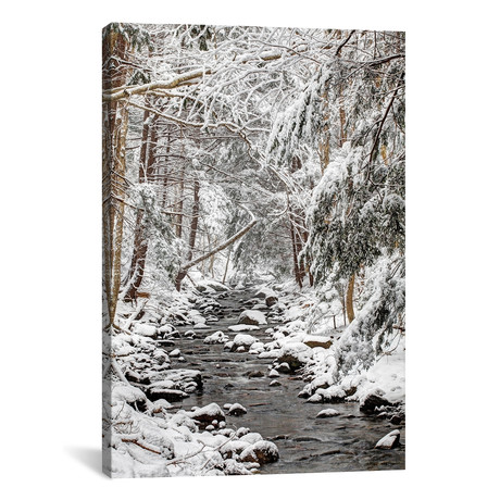 Stream In Winter, Nova Scotia, Canada - Vertical // Scott Leslie (26"W x 18"H x 0.75"D)