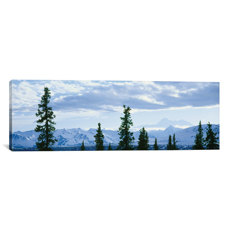 Mountain Landscape, Alaska Range, Denali National Park // Panoramic Images (12"W x 36"H x 0.75"D)