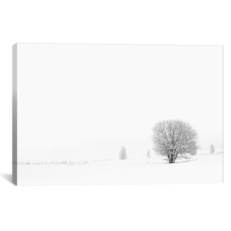 Shrouded In Snow // Andreas Stridsberg (18"W x 26"H x 0.75"D)