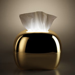 Mirro Illuminating Tissue Box // Gold