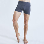 Zhu Bamboo Boxer Shorts // Gray (2XL)