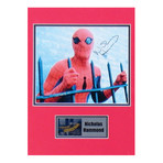Spider-man // Nicholas Hammond