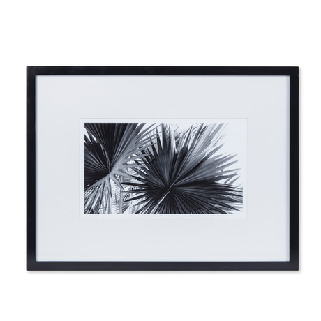 Black + White Palm Leaves // B