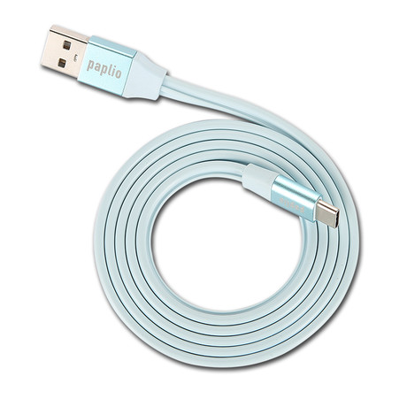 SnapIT Cable // Blue (Type C)