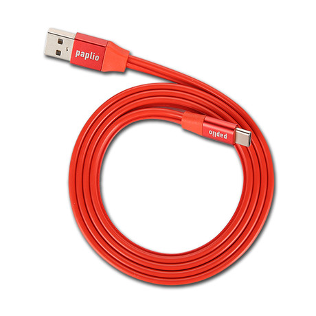 SnapIT Cable // Red (Type C)