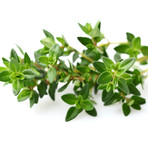 Refill // 3 Pieces // Thyme // Set of 2