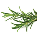 Refill // 3 Pieces // Rosemary // Set of 2