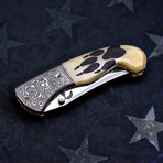 Scrimshaw Folding Knife // Wolf Paw