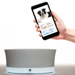 Obe ProBowl Wi-Fi Dog Bowl (Small: For Dogs Under 30lbs)