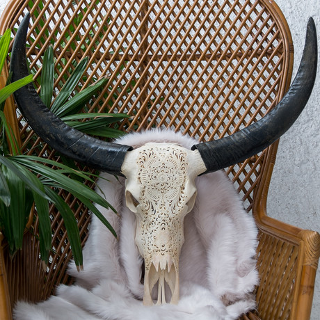 Hand Carved Buffalo Skull // Flat Flower 1