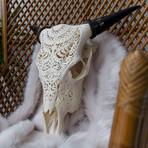Hand Carved Buffalo Skull // Tribal 1