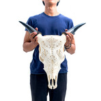 Hand Carved Cow Skull // 2 Dragons