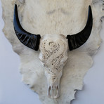 Hand Carved Buffalo Skull // Dragon 1