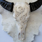 Hand Carved Buffalo Skull // Dragon 1