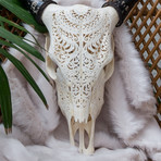 Hand Carved Buffalo Skull // Tribal 1