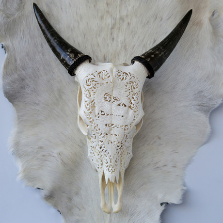 Hand Carved Cow Skull // Dragon 1