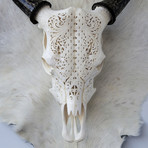 Hand Carved Cow Skull // Celtic 1