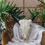 Hand Carved Cow Skull // Tribal 4