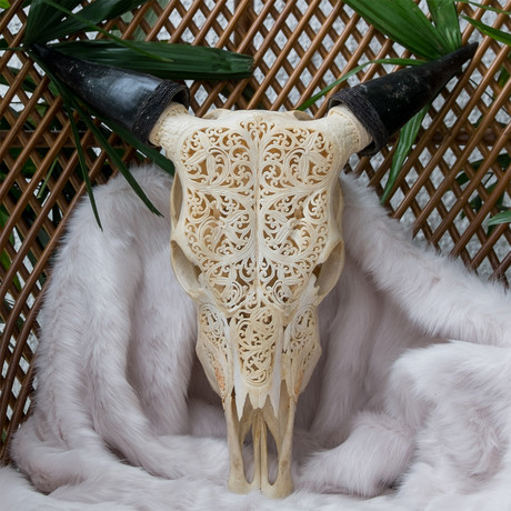 Hand Carved Cow Skull // Dragon 2