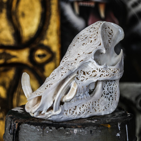 Hand Carved Boar Skull // Bird 1