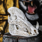 Hand Carved Boar Skull // Bird 1