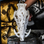 Hand Carved Boar Skull // Bird 2