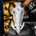 Hand Carved Boar Skull // Dragon