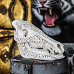 Hand Carved Boar Skull // Tribal 1