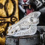 Hand Carved Boar Skull // Tribal 1