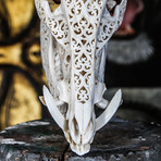 Hand Carved Boar Skull // Tribal 1