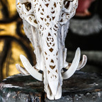 Hand Carved Boar Skull // Tribal 2