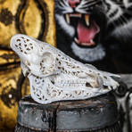 Hand Carved Boar Skull // Tribal 2