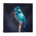 Aquarium Bird (18"W x 18"H x 0.75"D)