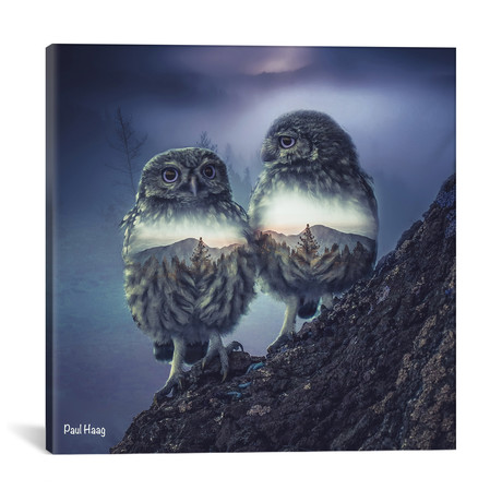 Owl Twins (18"W x 18"H x 0.75"D)