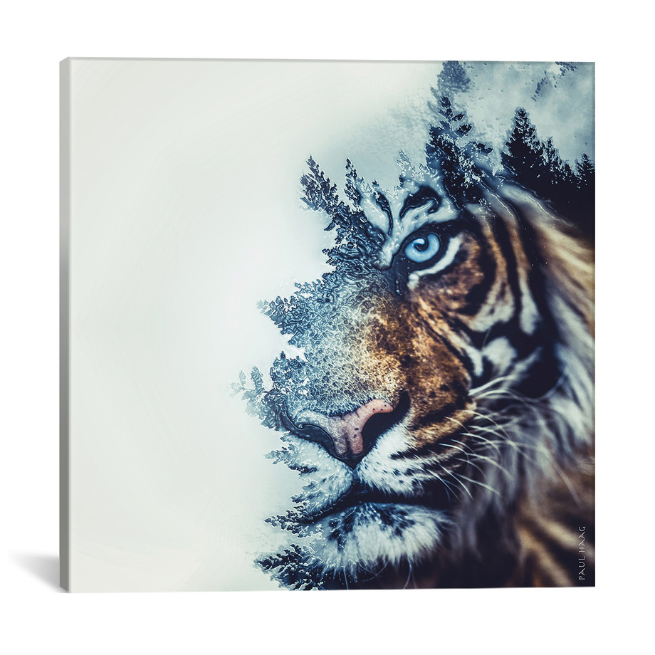 Paul Haag - Double Exposure Canvas Prints - Touch of Modern