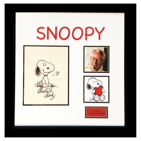 Signed + Framed Sketch Collage // Charlie Brown