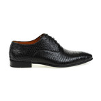 Serpico Classic Dress Shoes // Black (Euro: 46)