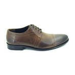 David Dress Shoes // Brown (Euro: 43)