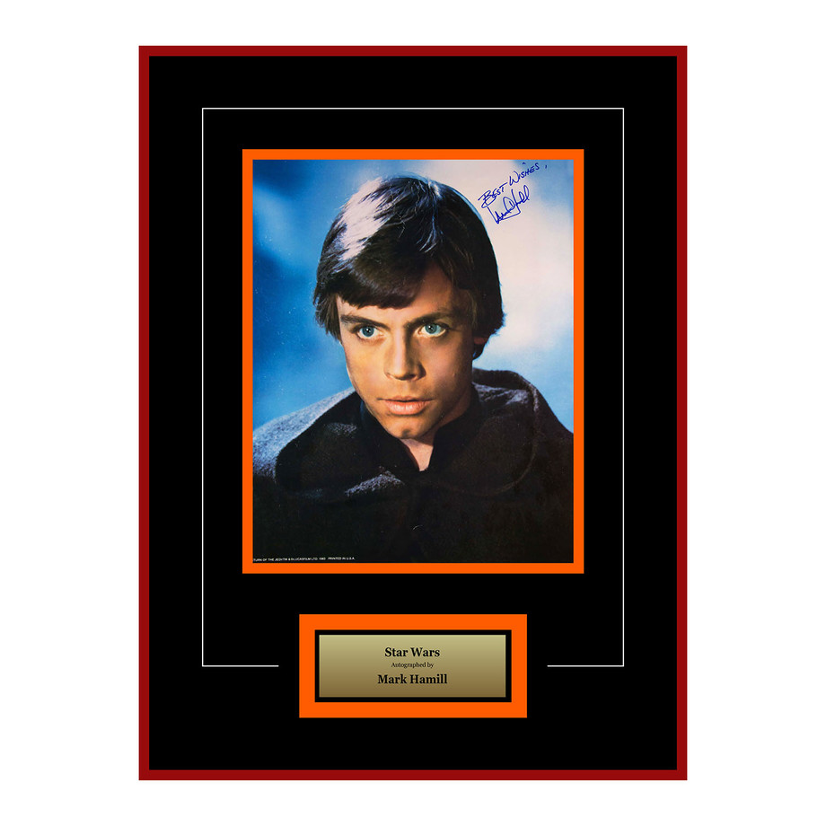 luke skywalker memorabilia