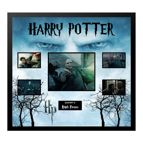 Signed + Framed Collage // Lord Voldemort
