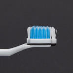 Evolve Toothbrush // 2 Pack