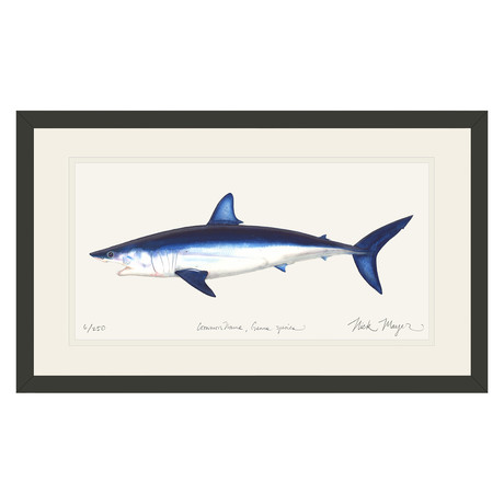 Shortfin Mako Shark // Black Wood Frame (Small)