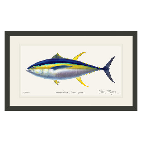 Yellowfin Tuna // Black Wood Frame // X-Large