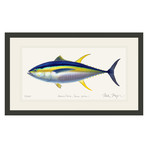 Yellowfin Tuna // Black Wood Frame // X-Large